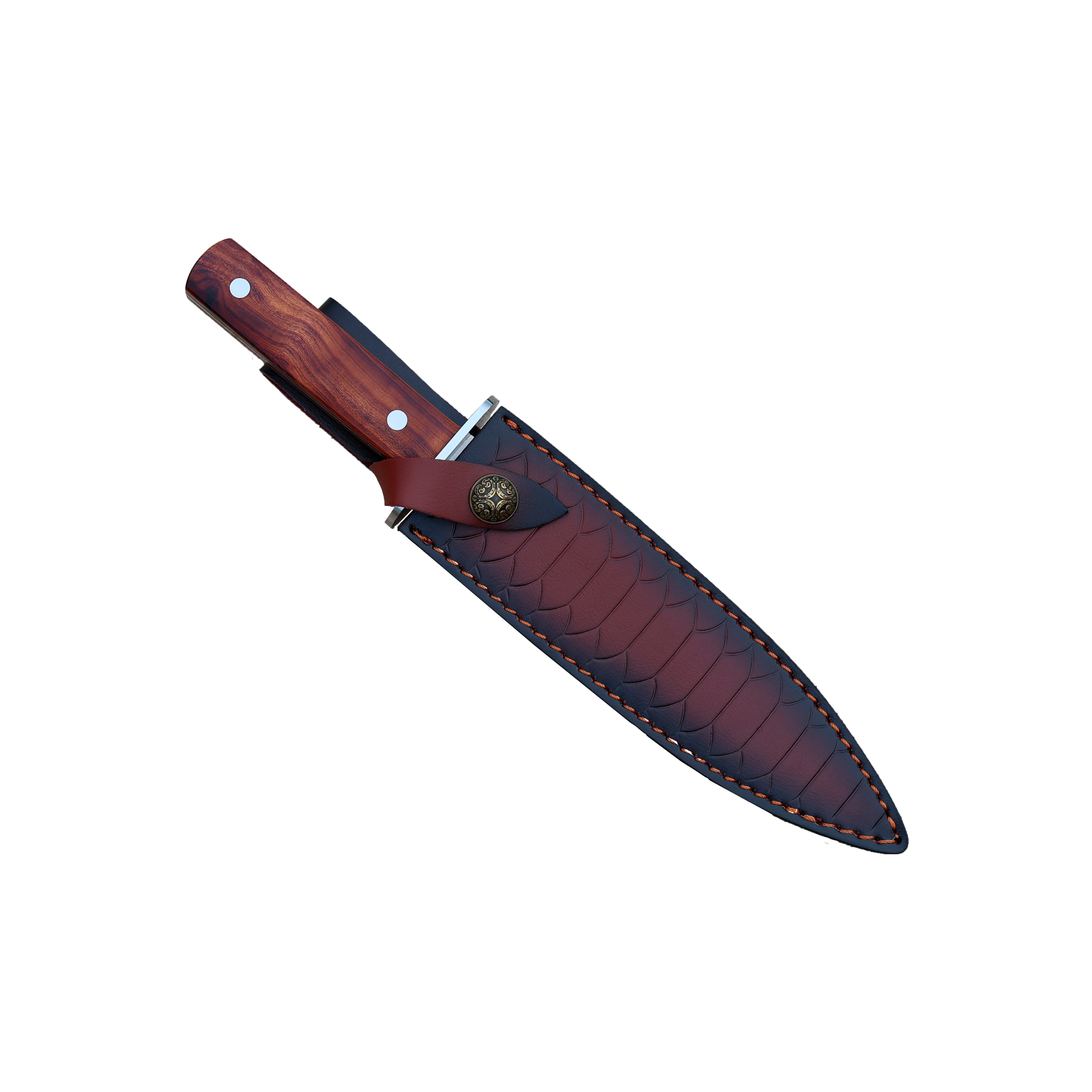 Dague de chasse L'Épine posée sur fond neutre - acier inoxydable et RoseWood